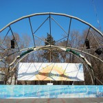 «В парках зелёная функция ушла на второй план»